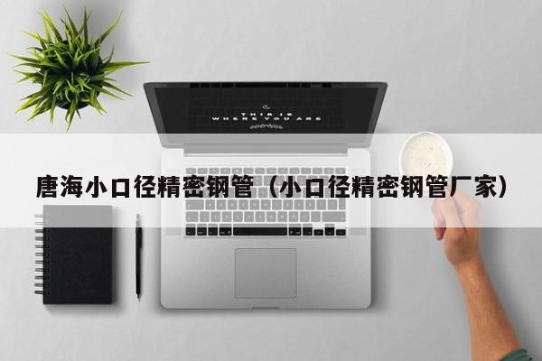 唐海小口徑精密鋼管（小口徑精密鋼管廠家）