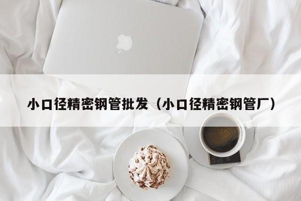 小口徑精密鋼管批發(fā)（小口徑精密鋼管廠）