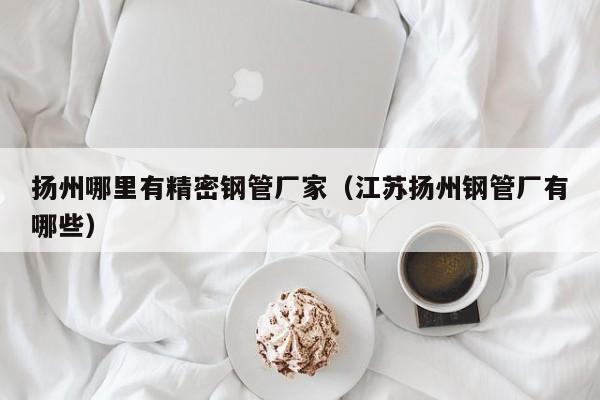 揚(yáng)州哪里有精密鋼管廠家（江蘇揚(yáng)州鋼管廠有哪些）