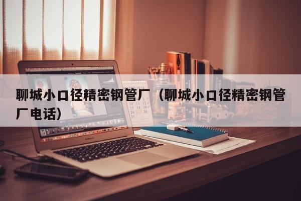 聊城小口徑精密鋼管廠（聊城小口徑精密鋼管廠電話）
