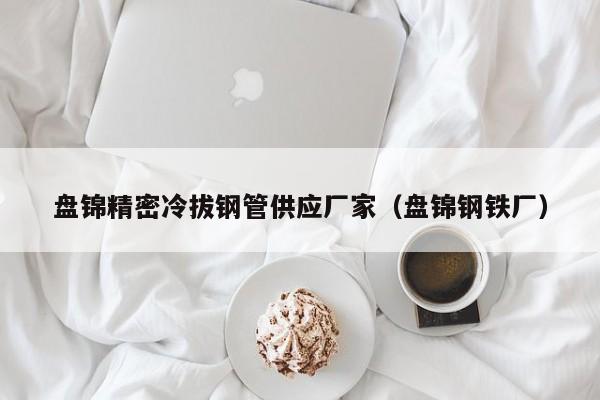 盤錦精密冷拔鋼管供應(yīng)廠家（盤錦鋼鐵廠）