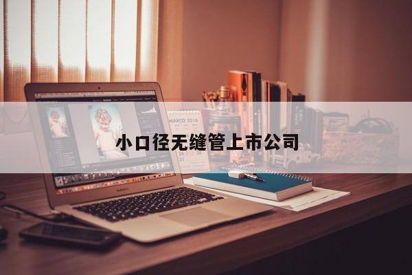 小口徑無縫管上市公司